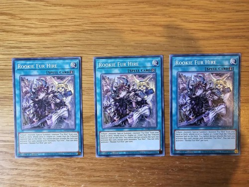Rookie fur hire - fur, common