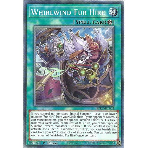 Bpro en062 whirlwind - whirlwind, hire