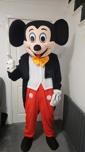 Costume hire mickey mouse - hire,